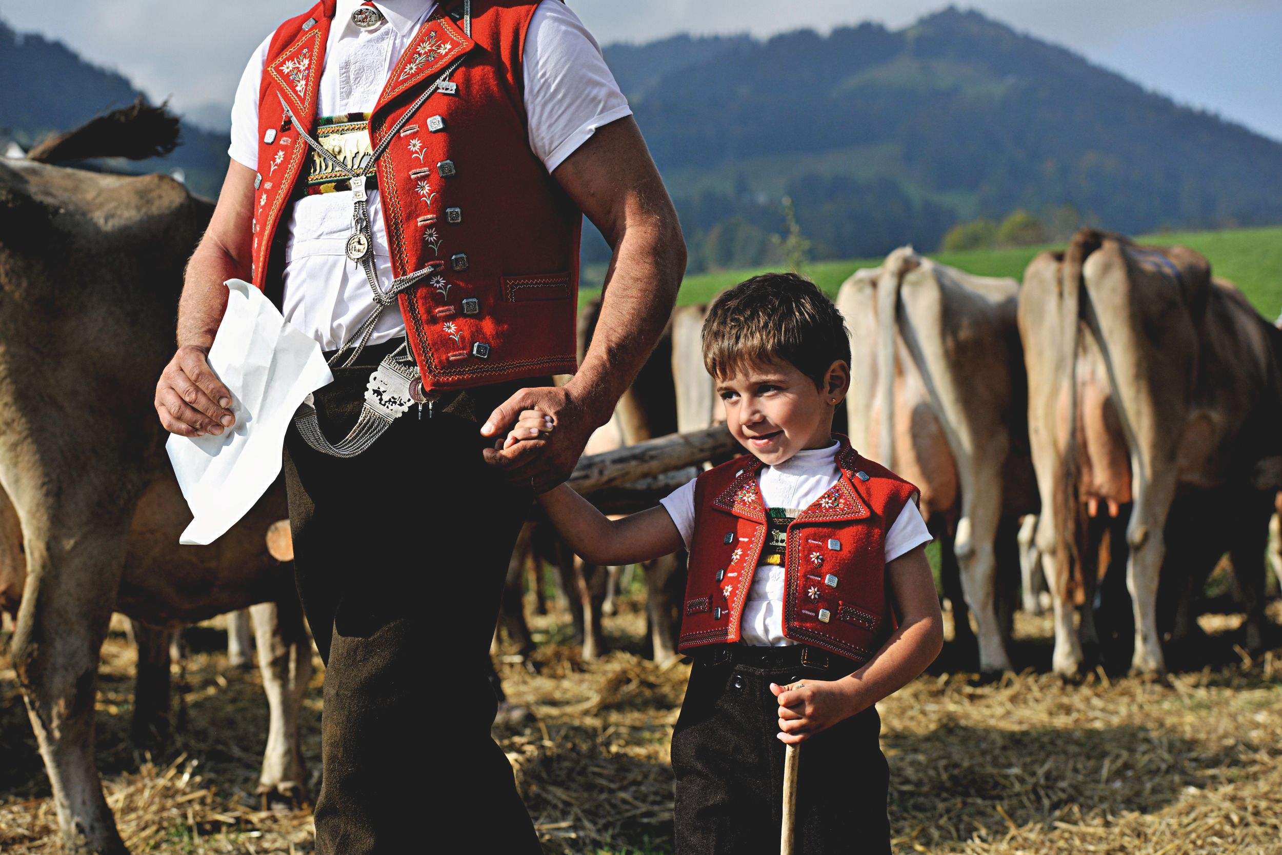 ST_3x2_Nesslau-Krummenau-cattle-show_23109.jpg