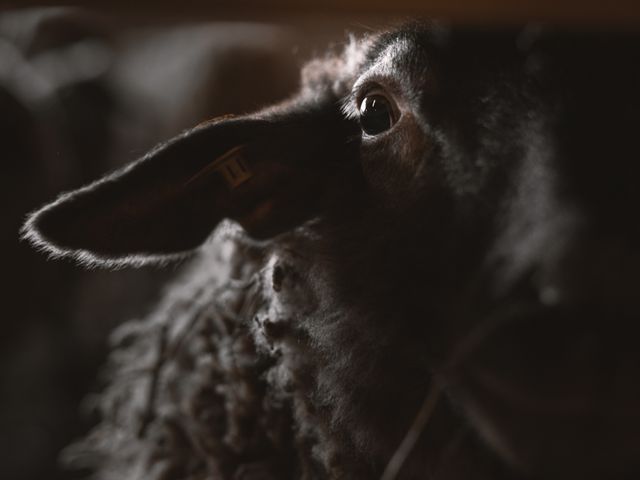 Alpengasthof brandgut